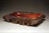Forster tray